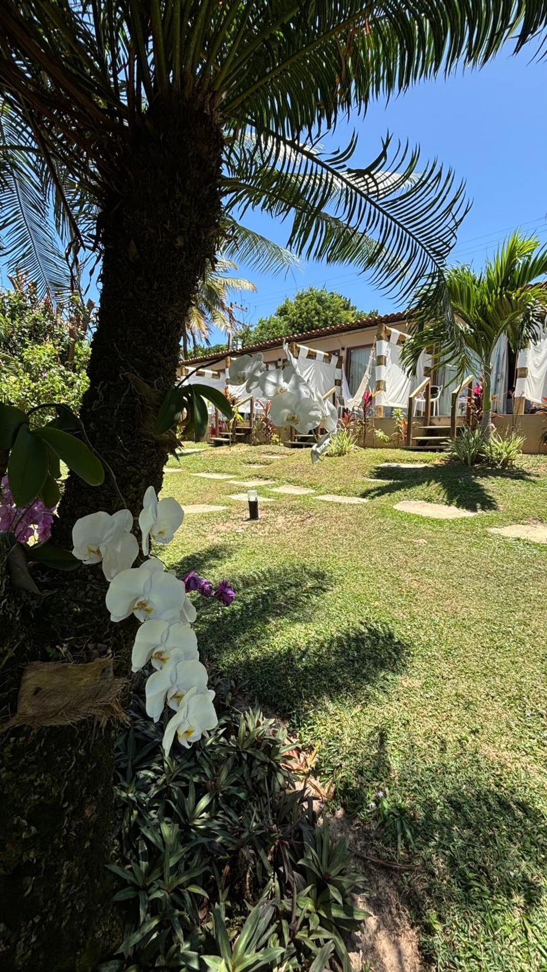 Hotel Da Pipa Praia de Pipa Exteriör bild