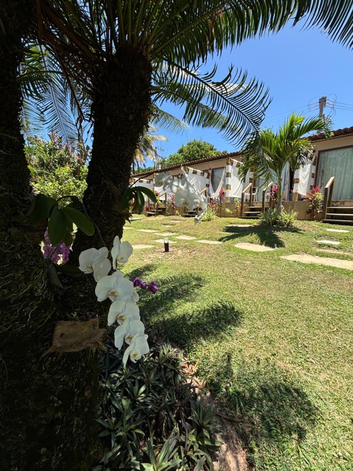 Hotel Da Pipa Praia de Pipa Exteriör bild